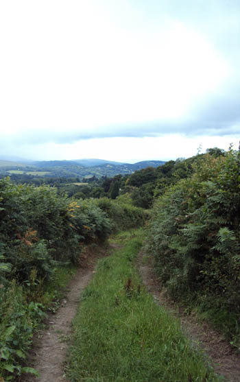Devon - Dartmoor