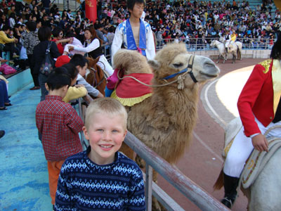 Circus