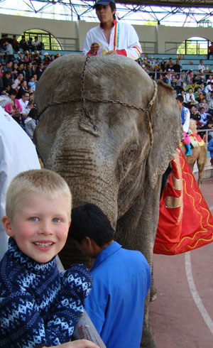 I'm going to ride the elephant!