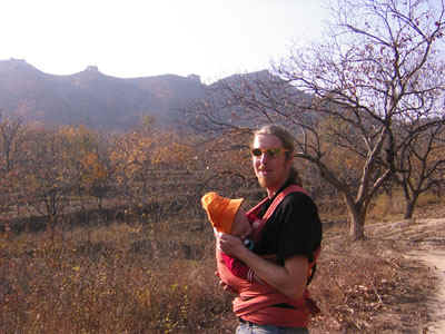 Huang Hua Cheng - gele bloemetjes muur